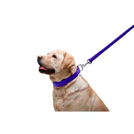 Повідець для собак шкіряний WAUDOG Glamour, Ш 25 мм, Дов 122 см фіолетовий Коломия