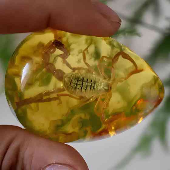 Скорпион в янтаре 5.5*4 см янтарный камень с насекомым, инклюзы в янтаре, имитация янтаря Киев