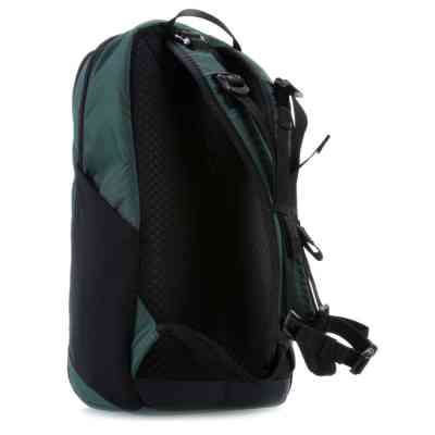 Рюкзак туристический Pacsafe Vibe 20L backpack зелений (60291502) Винница
