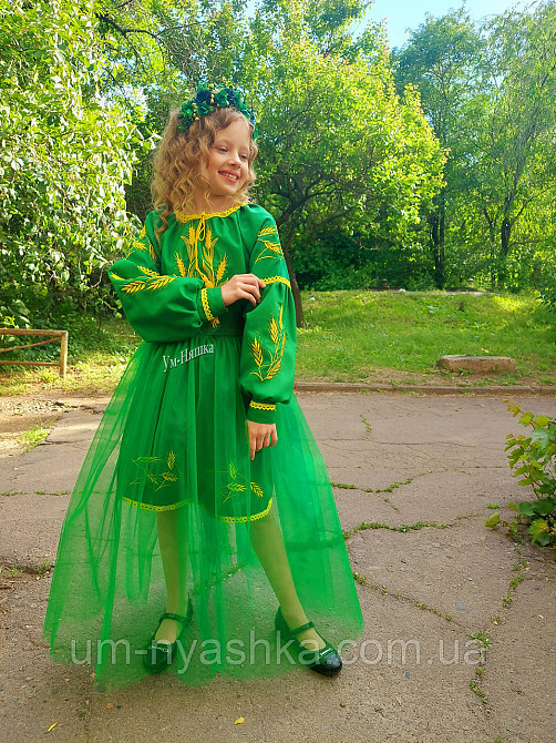 Детское вышитое платье с колосками Кривой Рог - изображение 7