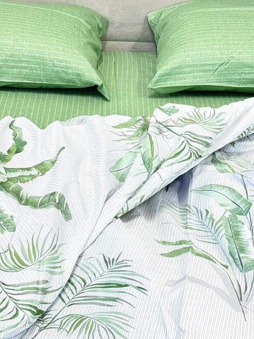 Ecotton Комплект постільної білизни Ecotton Євро 210х220 см Папороть зелена (21006АВ) Коломия - фото 2