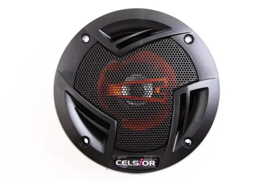 Автоколонки  4 100 Вт 2-полосные Celsior Maxwell Винница