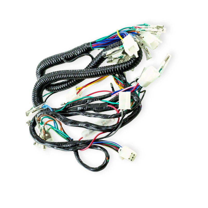 Проведення Актив Мукачево - фото 1