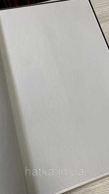 Шпалери метрові вінілові на флізеліні A.S.Creation Elite of Shades1.06x10 геометрія білий із сірим 78654-2 Київ - фото 3