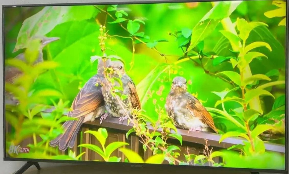 Телевизор Безрамный Samsung 45