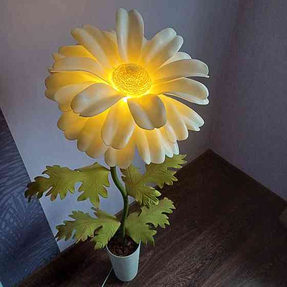 Мініторшер_Ромашка Дніпро