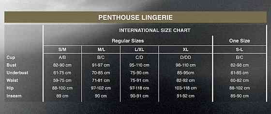 Трусики-стрінги Penthouse Pure Instincts L/XL Black, мереживо, відкритий доступ, леопардовий декор Sex Aura Київ