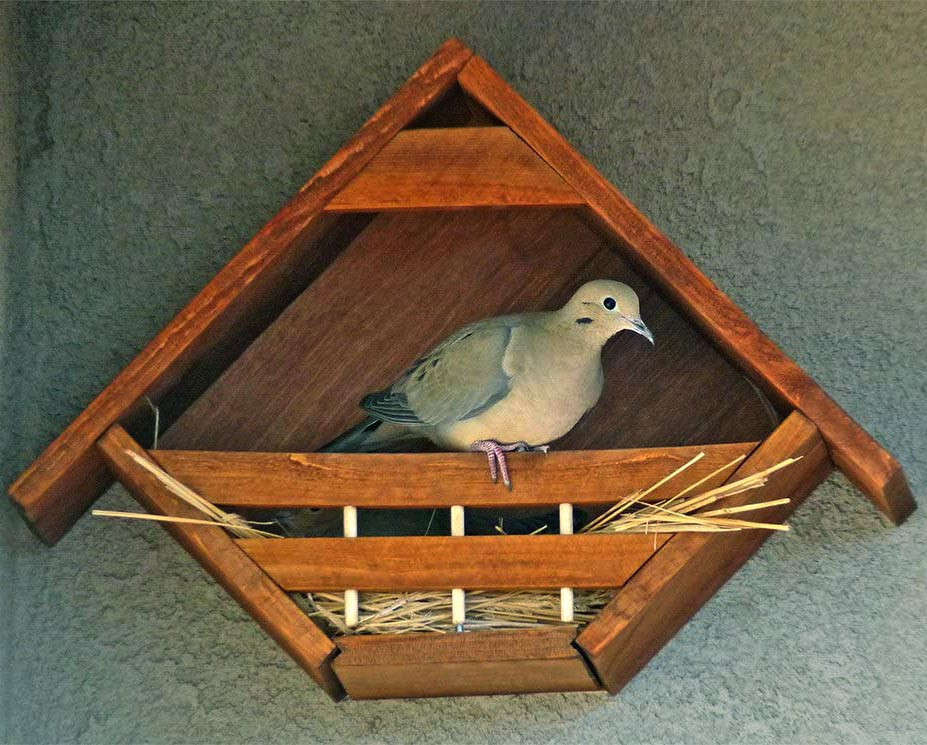 Гнездовье для птиц 