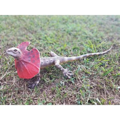 Фігурка Lanka Novelties Ящірка плащоносна, 55 см (21550) Вінниця - фото 3