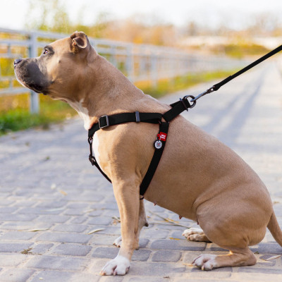 Шлей для собак WAUDOG Waterproof с QR-паспортом XS Ш 15 мм Д 30-39 см черная (27631) Винница - изображение 4