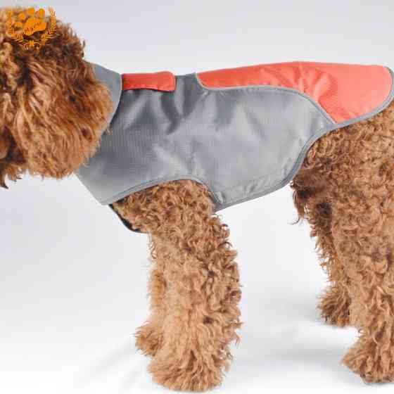 Куртка дощовика для собак BlackDoggy (Блекдоги) VC-JK12012 XL, оранжевий Запоріжжя