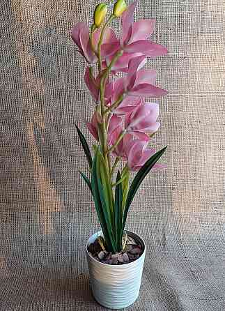 Штучна латексна орхідея цимбідіум у пластиковому кашпо рожева Дніпро
