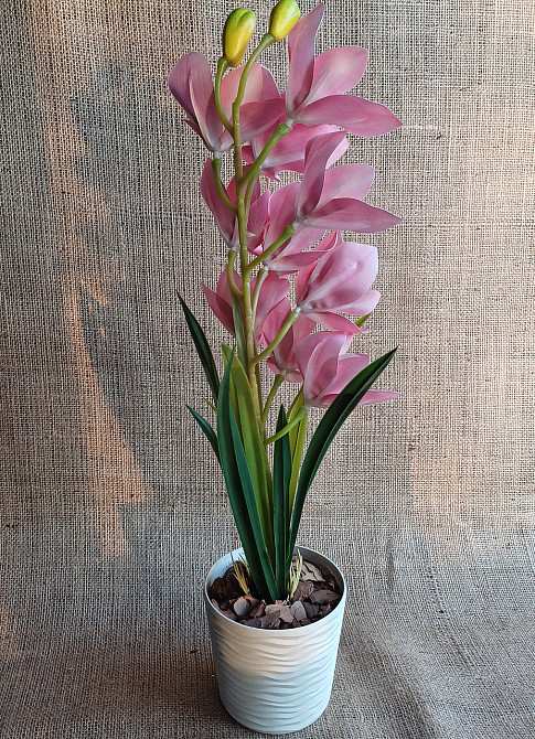 Штучна латексна орхідея цимбідіум у пластиковому кашпо рожева Дніпро - фото 4