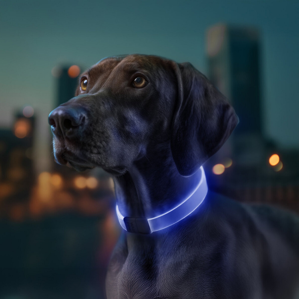 Ошейник для собак с подсветкой WAUDOG LED, RGB, Type-C, регулируемый, Ш 25 мм, Длин 60 см Киев - изображение 2