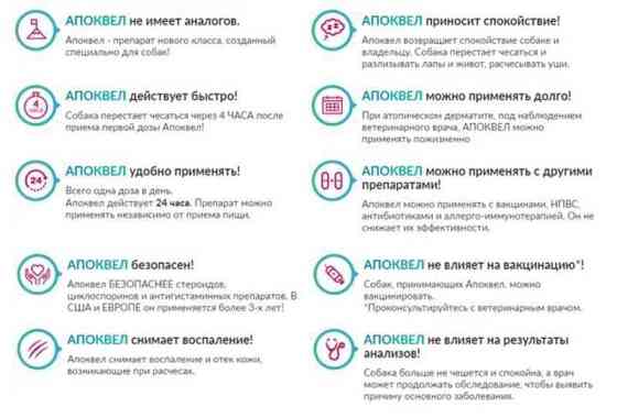 Apoquel by Zoetis (Апоквел Зоетіс) Препарат проти свербіння в собак за алергії 16 мг. (10 таблеток) Запоріжжя