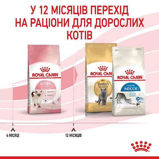 Royal Canin Kitten (Рояв Канін Кіттен) сухий корм для котят під час другої фази росту 2 кг. Запоріжжя
