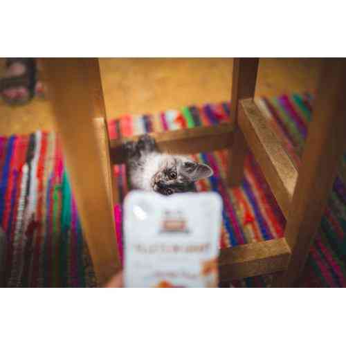 Корм вологий Brit Care Fillets in Gravy Hearty Duck д/котів філе в соусі з качкою 85 г Київ