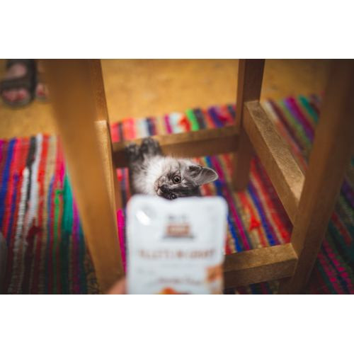 Корм вологий Brit Care Fillets in Gravy Hearty Duck д/котів філе в соусі з качкою 85 г Київ - фото 4