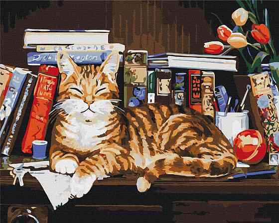 Кот на книжной полке Киев