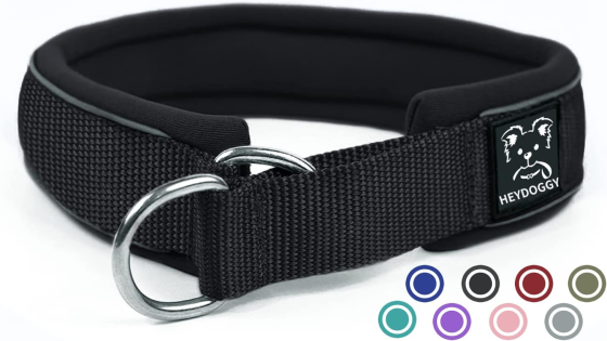 Нашийник для собак Heydoggy розмір М Луцьк