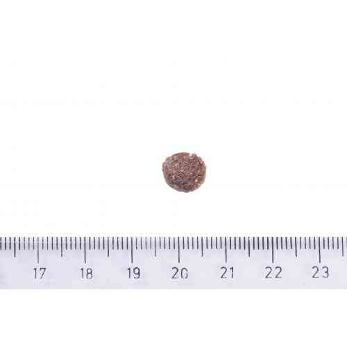 Корм сухий Brit Care Dog Sustainable Puppy для цуценят з куркою та комахами 1 кг Киев