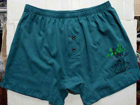 Чоловічі труси сімейні з бавовни Lans 01/021 3XL, Зелений Киев