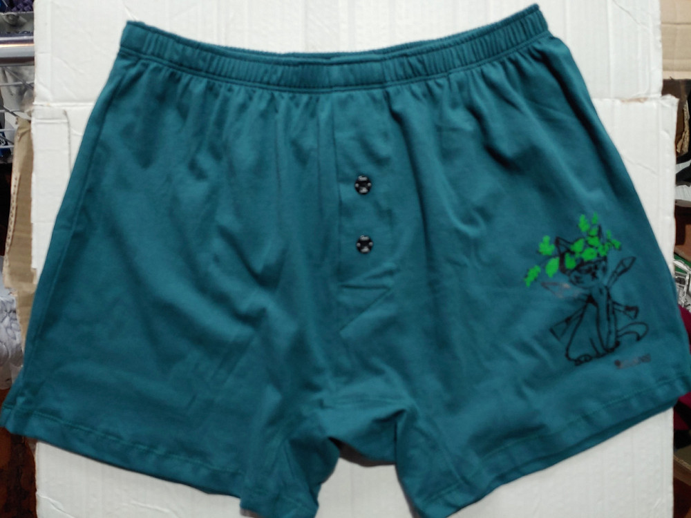 Чоловічі труси сімейні з бавовни Lans 01/021 3XL, Зелений Киев - изображение 2