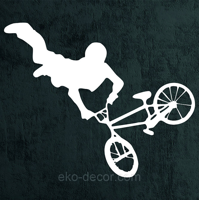 Декоративне настінне Панно «Велофрістайл», Декор на стіну Київ - фото 7