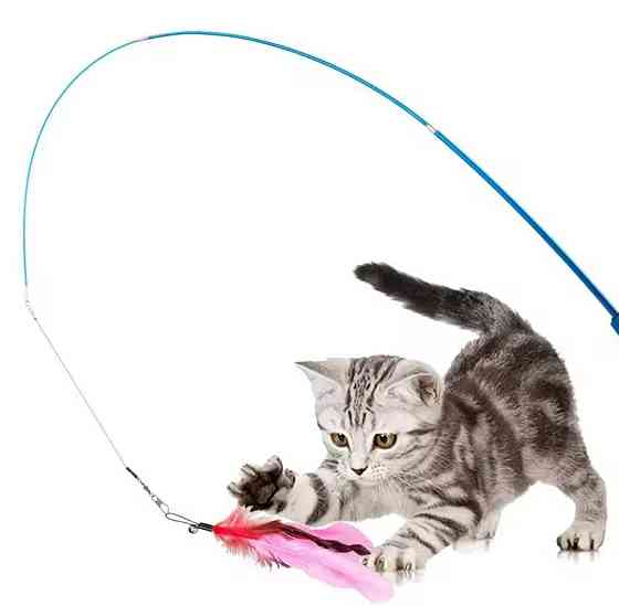 Дразнилка телескопическая для котов с разными игрушками 11 шт разноцветный Киев