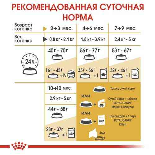 Royal Canin British Shorthair Kitten (Рояв Канін Кіттен британська короткошерсна) сухий корм для котят 2 кг. Запоріжжя