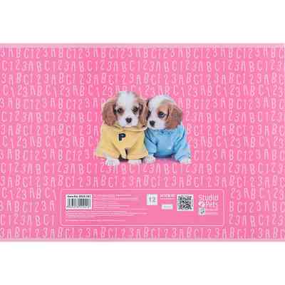 Альбом для рисования Kite Studio Pets, 12 листов (SP24-241) Винница