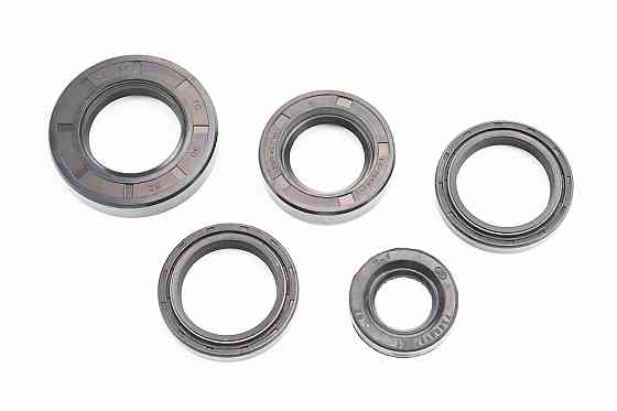 Сальники к-кт 5шт (19x32x6; 25x42x10; 30x42x7/8-2шт; 30x52x10) КАСКАД, НЕВА, ОКА, ЛУЧ Киев