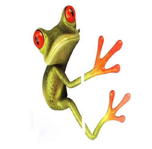 Наклейка Лягушка на мебель 17 на 17 см разноцветный Киев - изображение 1