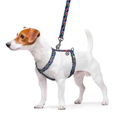 Шлея для собак WAUDOG Nylon анатомічна H-подібна з QR-паспортом "Інжир" пластиковий фастекс, M (344-4053) Вінниця