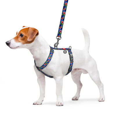 Шлея для собак WAUDOG Nylon анатомічна H-подібна з QR-паспортом "Інжир" пластиковий фастекс, M (344-4053) Вінниця - фото 3