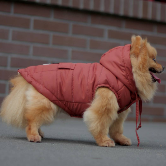 Жилетка для собак тепла Dogs Bomba плащівка на синтепоні з кишенею водовідштовхувальна з утяжкою Цегляний колір 4 Одеса