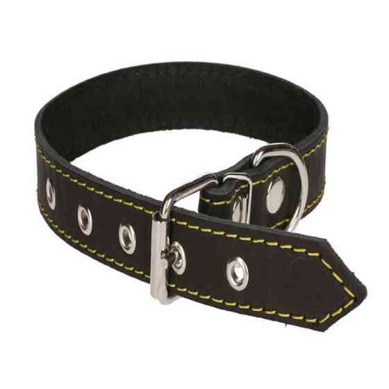 Нашийник 309 25мм "Економ" шкіра Вінниця