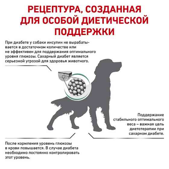 Royal Canin Diabetic (Рояв Канін Діабетик) сухий корм для собак при цукровому діабеті 1.5 кг. Запоріжжя