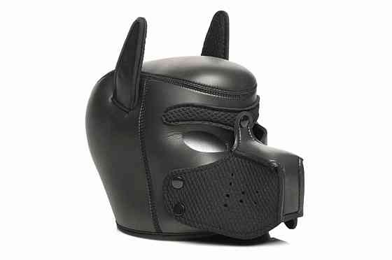 Набор BDSM щенка Master Series Luxury Pup Arsenal Set - Black Sex Aura Киев