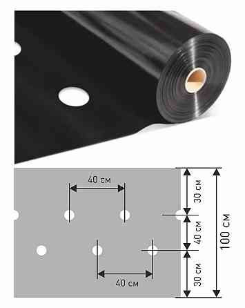 Мульча 30 мкм 1м*10 м пленка для мульчирования грунта с перфорацией Shadow Днепр