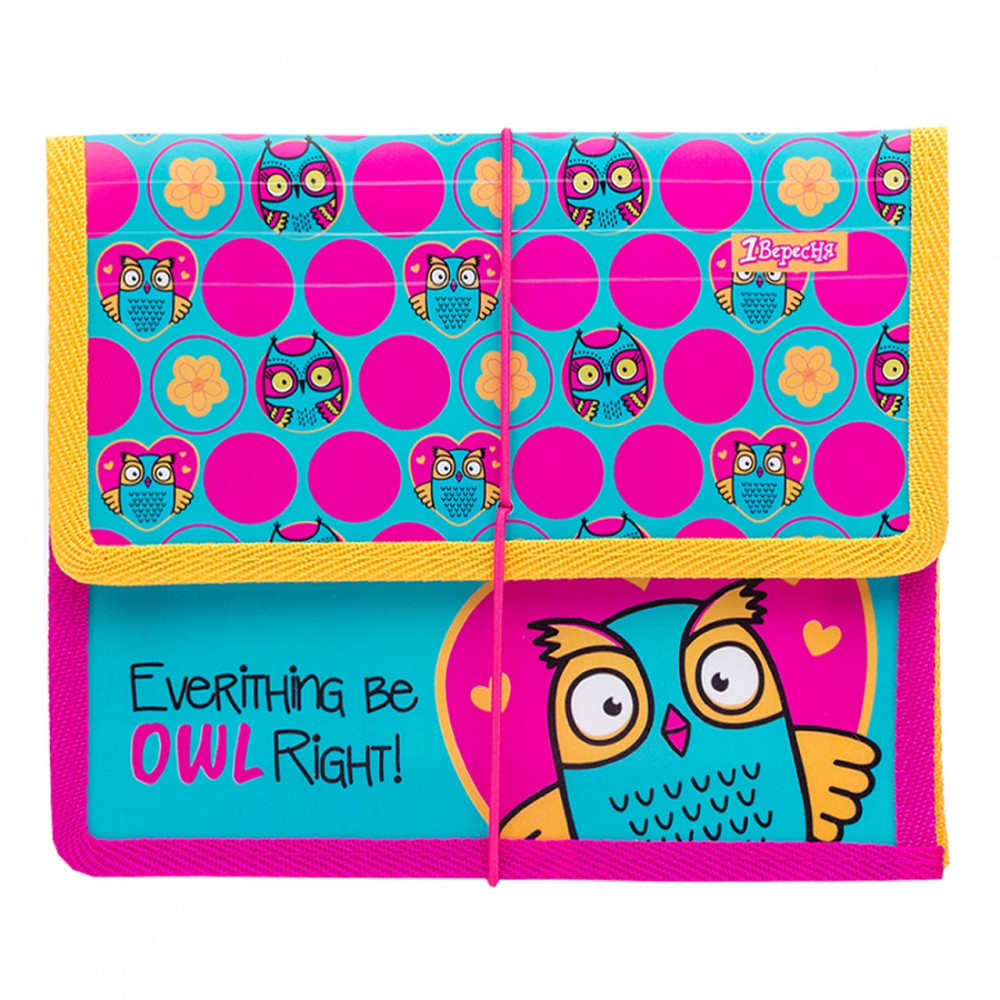 Папка для зошитів на гумці B5 "1 вересня" 491847  "Owl", шт Київ - фото 1