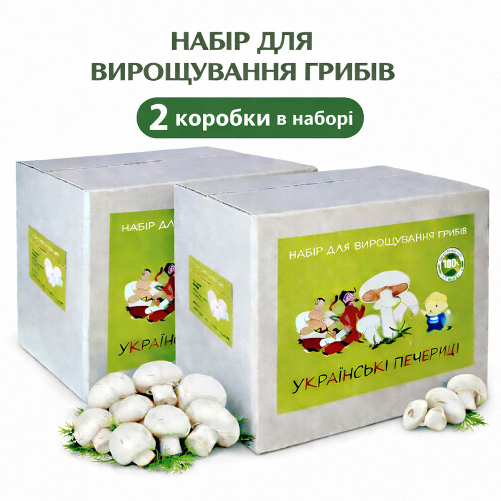 Грибний набір для вирощування білих печериць готова грибна коробка з засіяним міцелієм печериць (2 коробки) Харків - фото 1