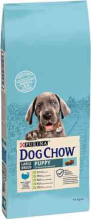 Сухий корм для цуценят великих порід Dog Chow Puppy Large Breed з індичкою, 14 кг Вінниця