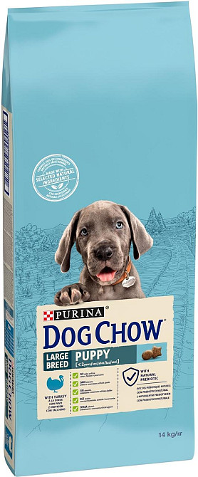 Сухий корм для цуценят великих порід Dog Chow Puppy Large Breed з індичкою, 14 кг Вінниця - фото 1