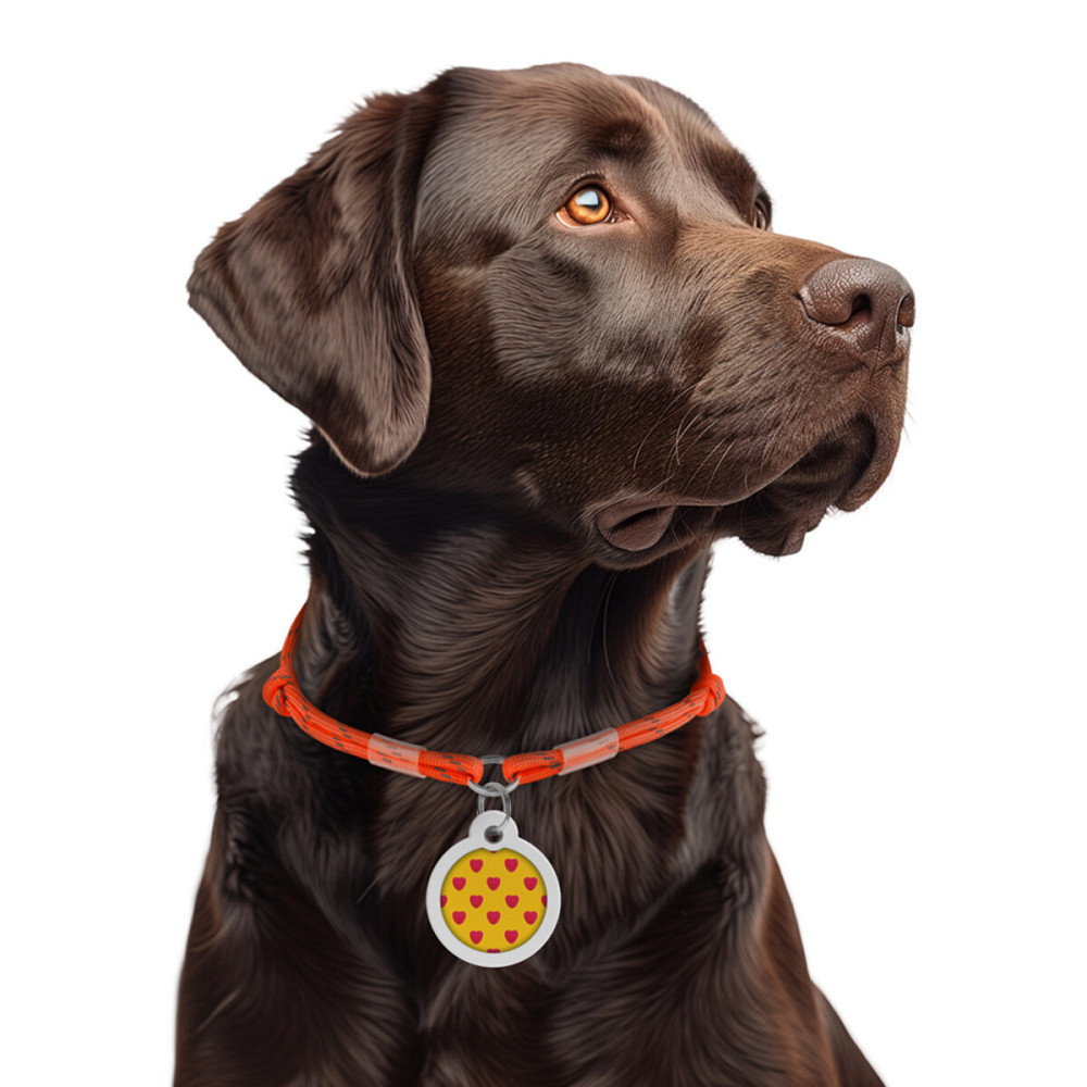 Шнурок для адресника з паракорду WAUDOG Smart ID, світловідбиваючий, розмір М, діаметр 4 мм, довжина 42-76 см помаранчевий Київ - фото 2