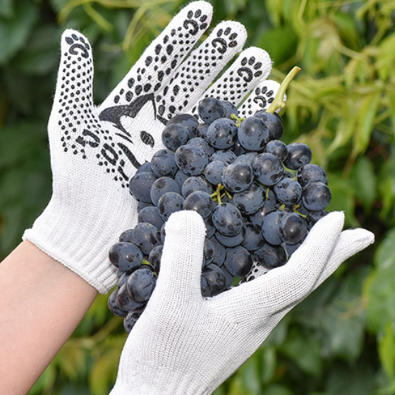 Рукавички 4894 трикотаж з малюнком ПВХ р.8(M) клас 10 чорний КотоФан ДКГ Житомир - фото 2