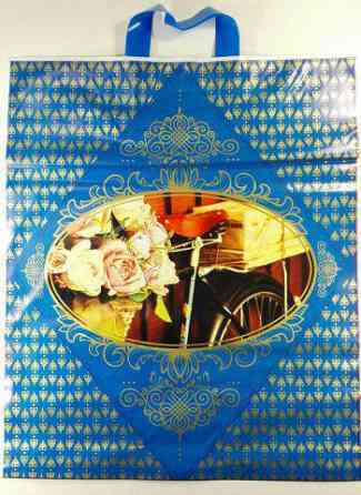 Пакет с петлевой ручкой (42*50+3) 