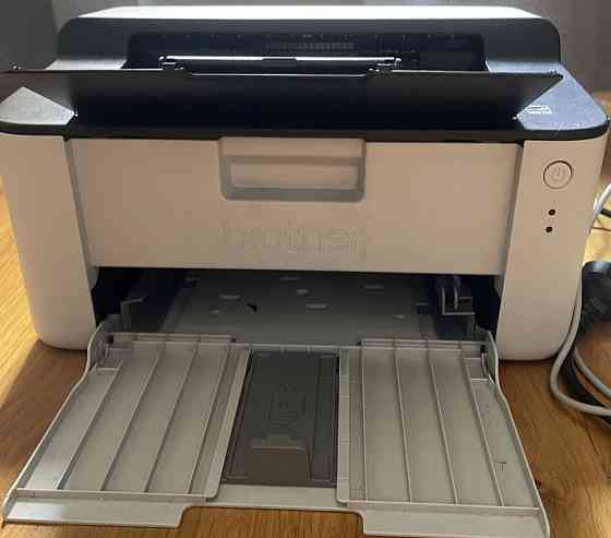 Принтер: Brother HL-1110R. Київ