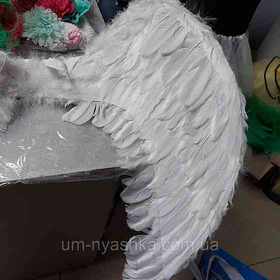 Крылья Ангела с перьями 40*35 Кривой Рог