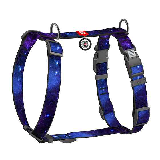 Шлей для собак анатомический H-образный WAUDOG Nylon с QR-паспортом, рисунок 